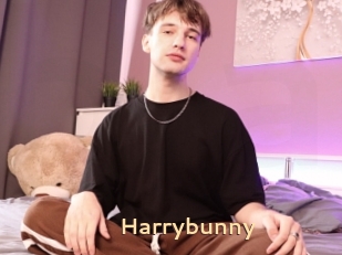 Harrybunny