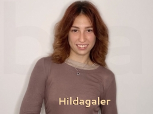 Hildagaler