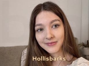 Hollisbarks