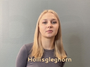 Hollisgleghorn