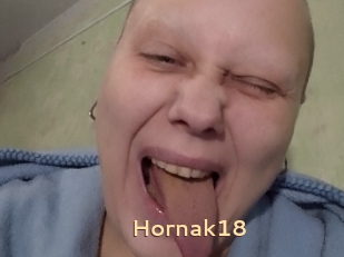 Hornak18