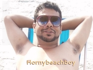 Hornybeachboy