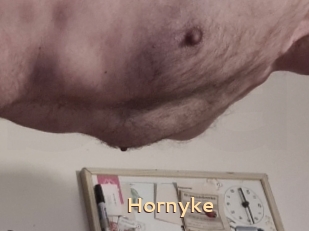 Hornyke