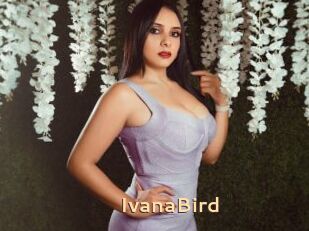 IvanaBird