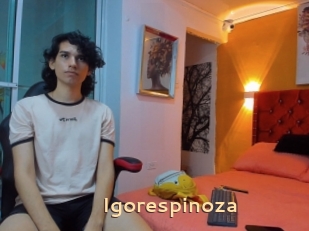 Igorespinoza