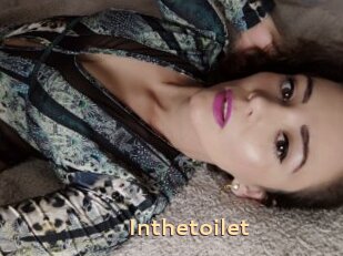 Inthetoilet