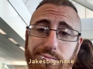 Jakesbigsnake