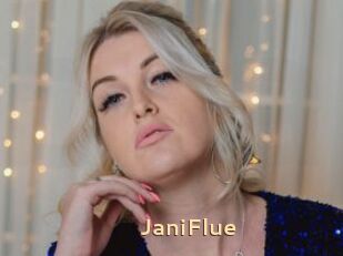 JaniFlue