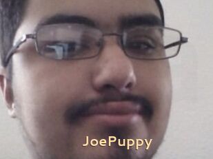 JoePuppy