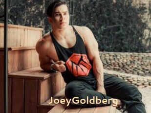 JoeyGoldberg