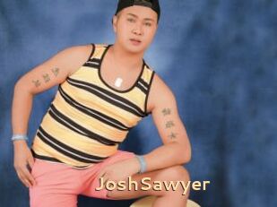 JoshSawyer