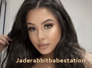 Jaderabbitbabestation