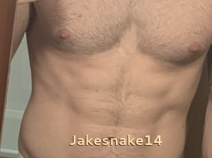 Jakesnake14