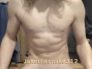 Jakethesnake312