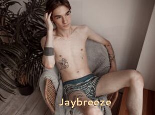 Jaybreeze