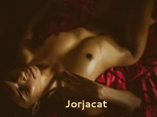 Jorjacat