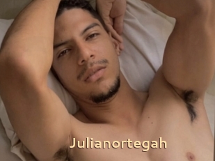 Julianortegah