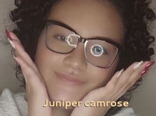 Juniper_camrose