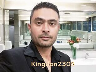 Kingdon2308