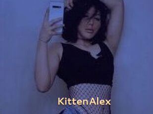 KittenAlex