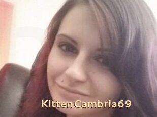 KittenCambria69