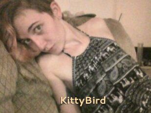 KittyBird