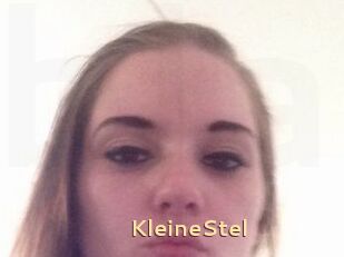 KleineStel