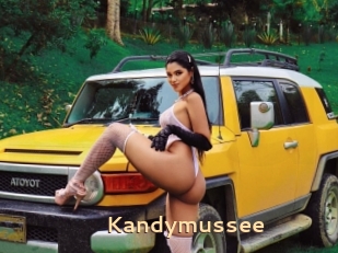 Kandymussee