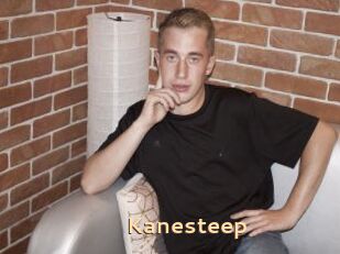 Kanesteep