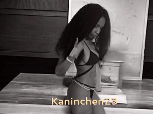 Kaninchen23