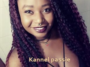 Kannel_passie