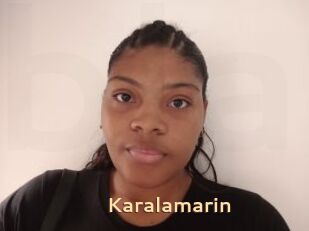 Karalamarin