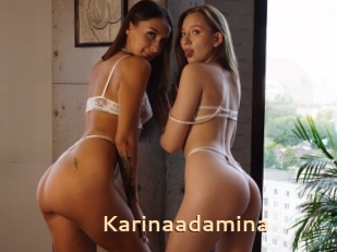 Karinaadamina