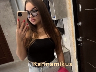 Karinamikus