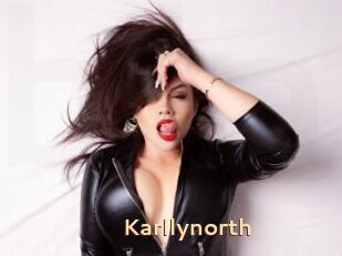 Karllynorth