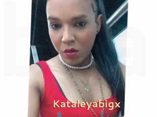 Kataleyabigx