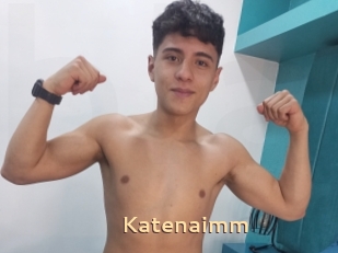 Katenaimm