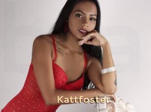 Kattfoster