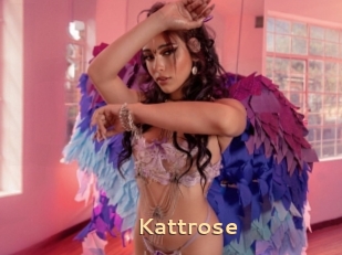 Kattrose