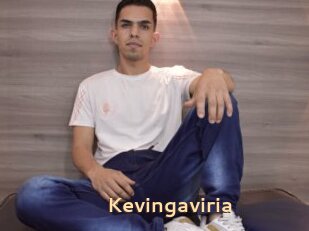 Kevingaviria