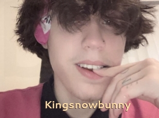 Kingsnowbunny