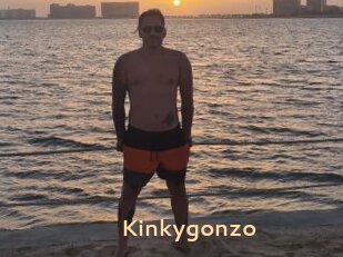 Kinkygonzo