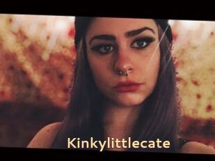 Kinkylittlecate