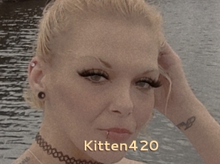 Kitten420