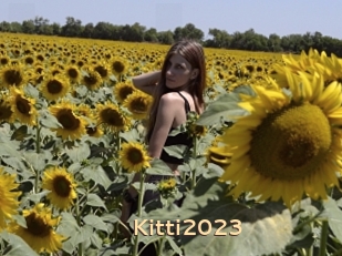 Kitti2023