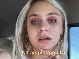 Kittysplaypen18