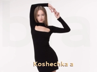 Koshechka_a