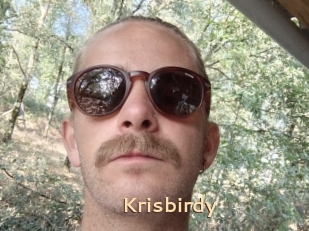 Krisbirdy