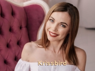 Krissbird