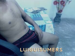 LUIGUISUMERS